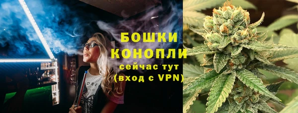 дурь Алзамай