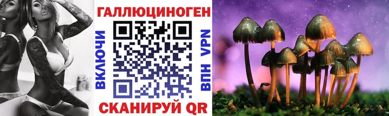 Псилоцибиновые грибы GOLDEN TEACHER  цена   ссылка на мегу ONION  Десногорск 