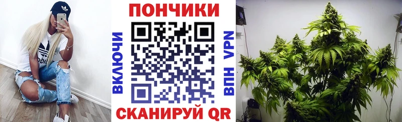 купить закладку  OMG ссылка  Конопля планчик  Десногорск 